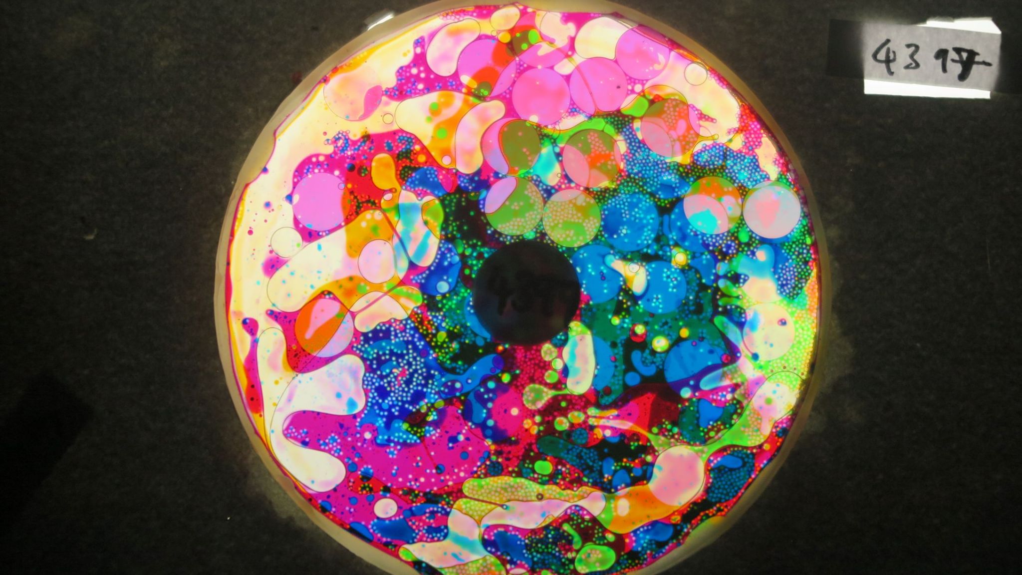 BV4397 bubble vision oil wheel